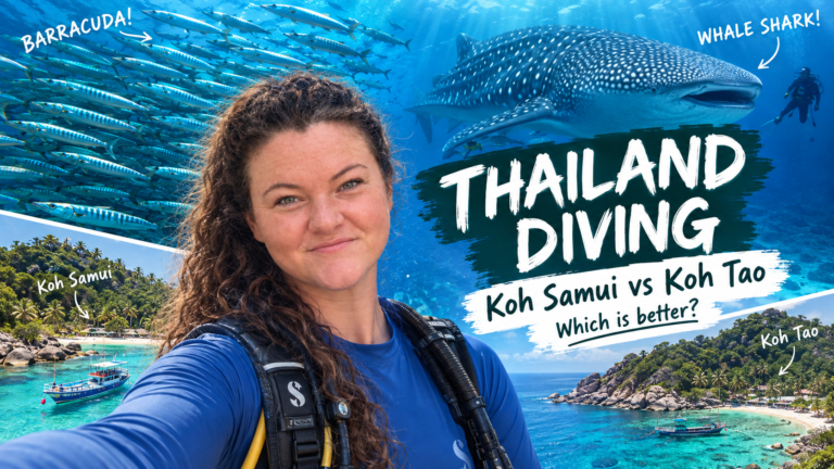 Diving: Koh Tao vs Koh Samui